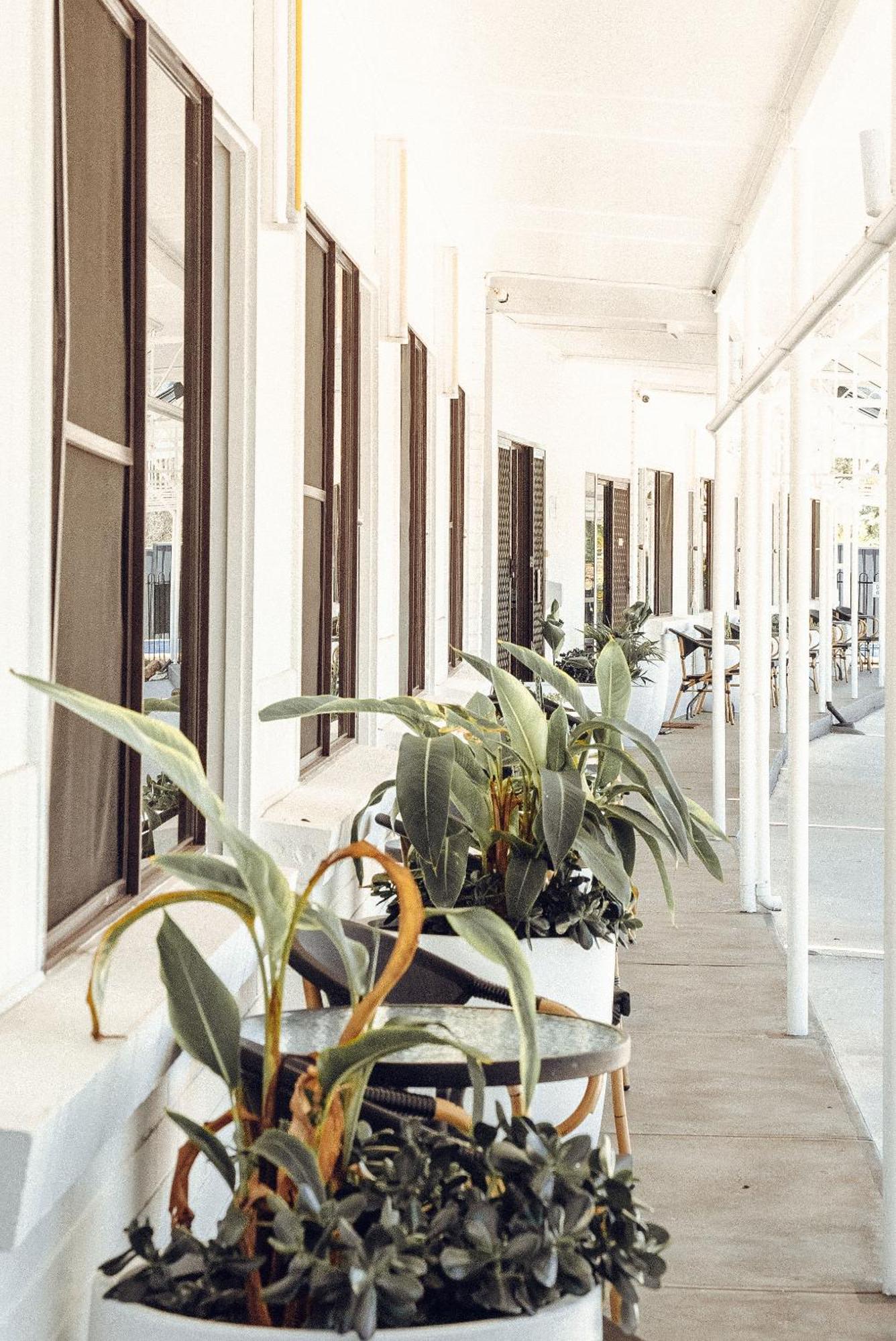Motel Maclean Ngoại thất bức ảnh